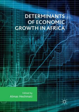 Książka Determinants of Economic Growth in Africa Almas Heshmati