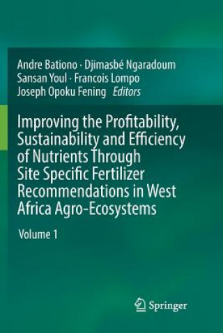 Kniha Improving the Profitability, Sustainability and Efficiency of Nutrients Through Site Specific Fertilizer Recommendations in West Africa Agro-Ecosystem Andre Bationo