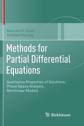 Книга Methods for Partial Differential Equations Marcelo R Ebert