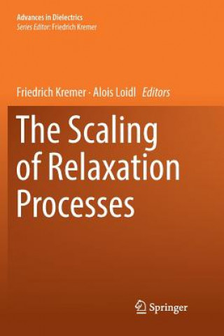 Boek Scaling of Relaxation Processes Friedrich Kremer