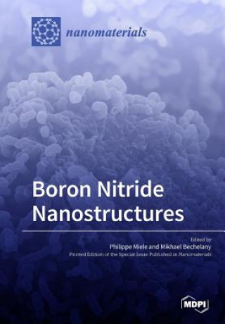 Kniha Boron Nitride Nanostructures 