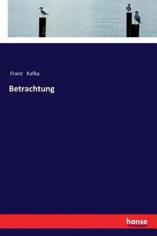 Könyv Betrachtung Franz Kafka