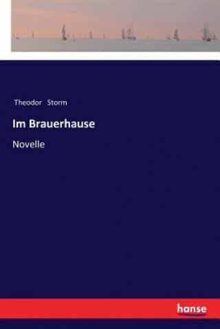 Książka Im Brauerhause Theodor Storm