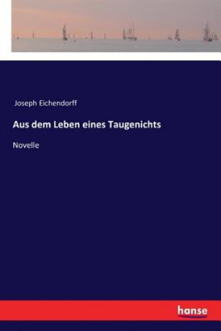 Könyv Aus dem Leben eines Taugenichts Joseph Eichendorff