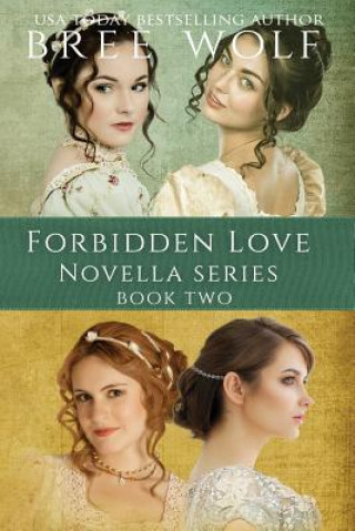 Kniha Forbidden Love Novella Box Set Two Bree Wolf