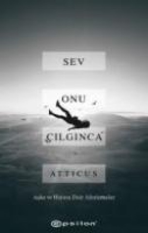 Boek Sev Onu Cilginca Atticus