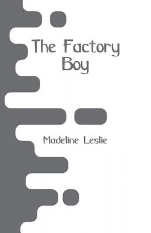 Knjiga Factory Boy Madeline Leslie