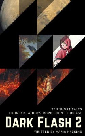 Buch Dark Flash 2 Maria Haskins