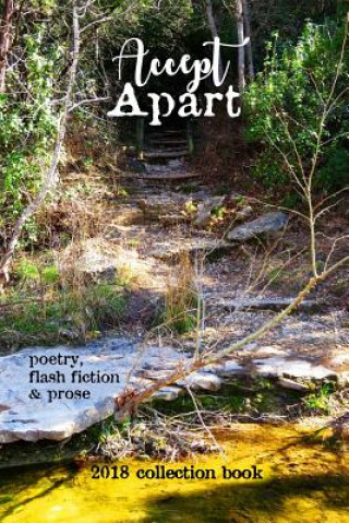 Carte Accept Apart: 2018 Scars Publications Collection Book Allan Onik