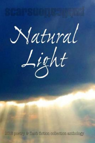 Kniha Natural Light: 2018 Scars Publications Collection Book Allan Onik