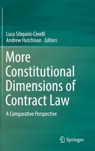 Kniha More Constitutional Dimensions of Contract Law Luca Siliquini-Cinelli