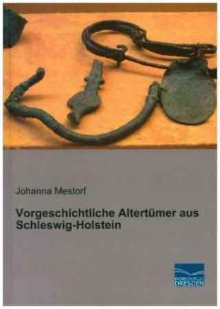 Buch Vorgeschichtliche Altertümer aus Schleswig-Holstein Johanna Mestorf