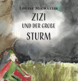 Kniha Zizi und der große Sturm Louise Michaelis