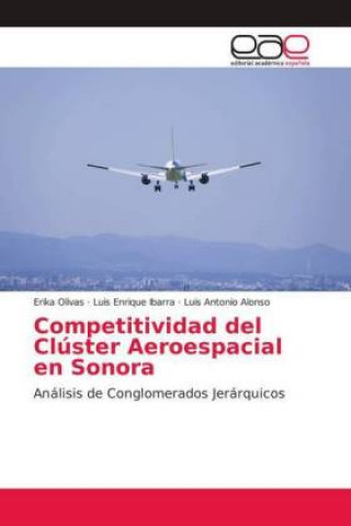 Kniha Competitividad del Clúster Aeroespacial en Sonora Erika Olivas