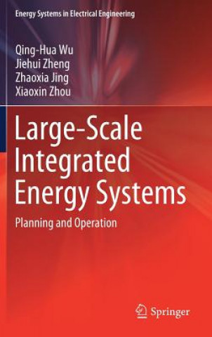 Knjiga Large-Scale Integrated Energy Systems Qing-Hua Wu