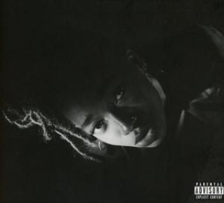 Audio GREY Area (Digipak) Little Simz