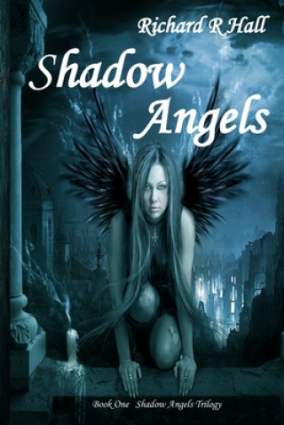 Knjiga Shadow Angels Richard R Hall
