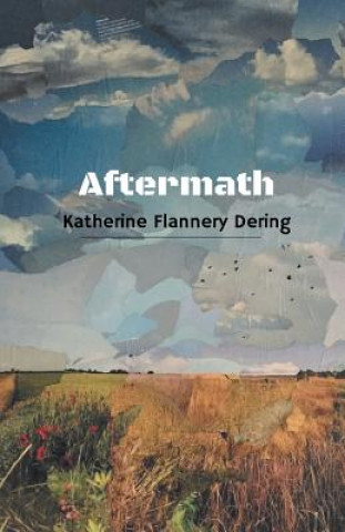 Knjiga Aftermath Katherine Flannery Dering