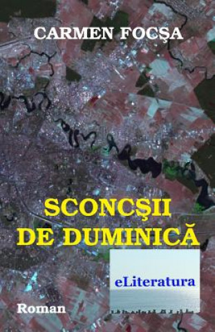 Könyv Sconcsii de Duminica: Roman Carmen Focsa