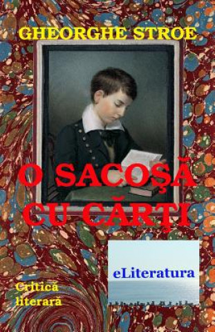 Kniha O Sacosa Cu Carti: Critica Literara Gheorghe Stroe