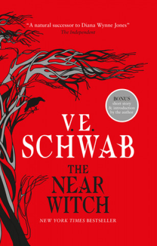 Könyv Near Witch V. E. Schwab