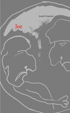 Livre Joe Joseph B. Raimond