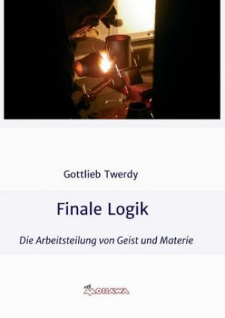 Carte Finale Logik Gottlieb Twerdy