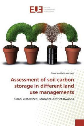 Kniha Assessment of soil carbon storage in different land use managements Donatien Habumuremyi