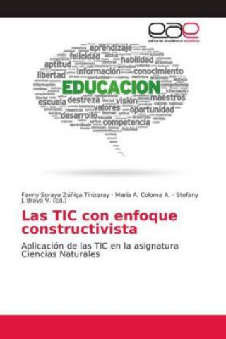 Buch Las TIC con enfoque constructivista Fanny Soraya Zú?iga Tinizaray