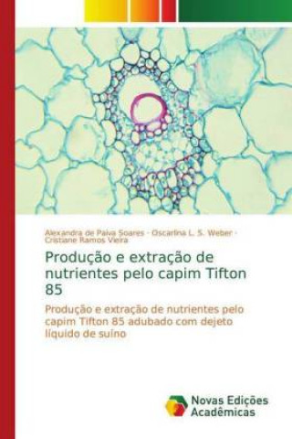 Könyv Producao e extracao de nutrientes pelo capim Tifton 85 Alexandra de Paiva Soares