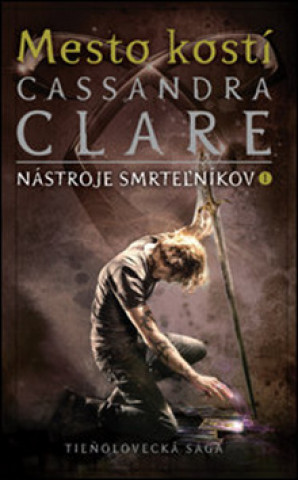 Kniha Mesto kostí Cassandra Clare