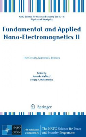 Kniha Fundamental and Applied Nano-Electromagnetics II Antonio Maffucci