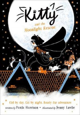 Kniha Kitty and the Moonlight Rescue Paula Harrison