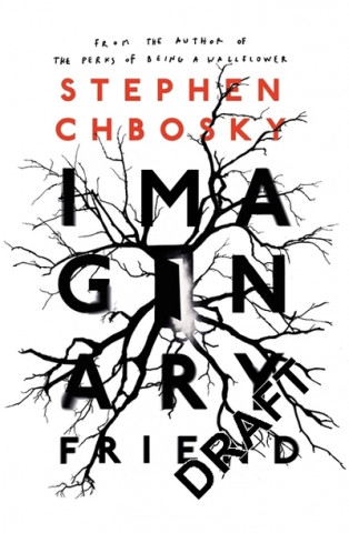Kniha Chbosky, S: Imaginary Friend Stephen Chbosky