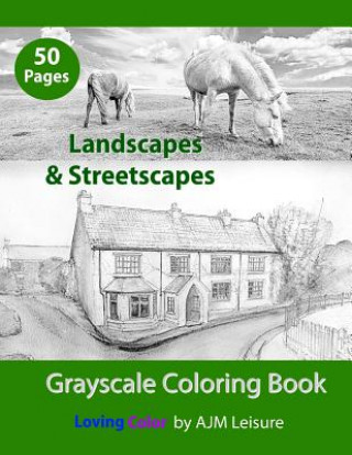 Kniha Landscapes & Streetscapes: Adult Grayscale Coloring Book Ajm Leisure