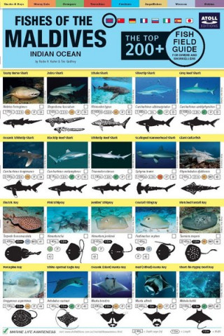 Carte Maldives Fish Field Guide "Top 200+" Tim Godfrey