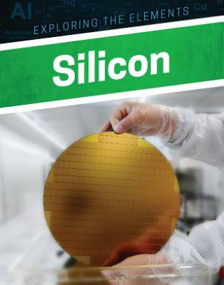 Knjiga Silicon Clara Maccarald