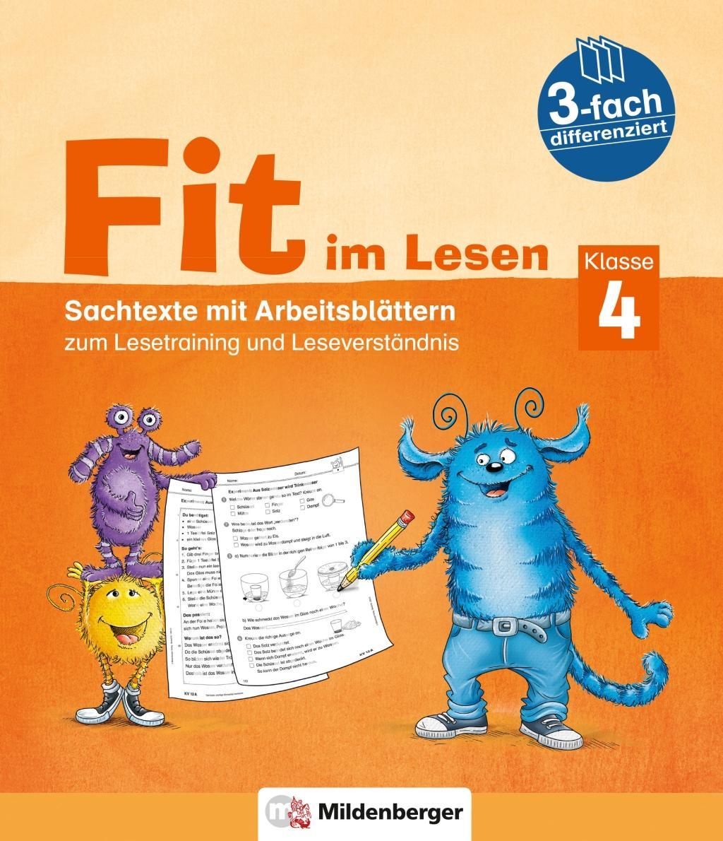 Kniha Fit im Lesen - Sachtexte, Klasse 4 Sabine Stehr