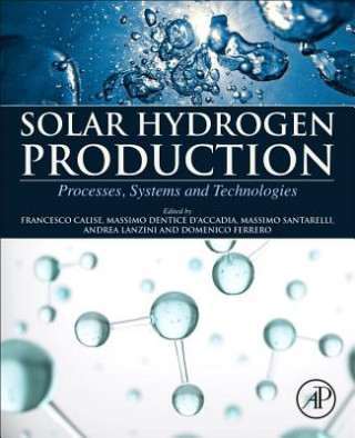 Könyv Solar Hydrogen Production Francesco Calise