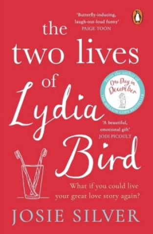 Kniha Two Lives of Lydia Bird Josie Silver