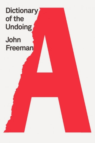 Könyv Dictionary of the Undoing John Freeman
