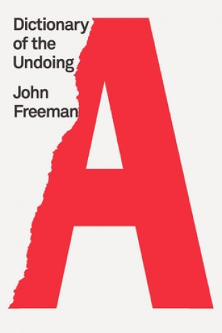 Buch Dictionary of the Undoing John Freeman