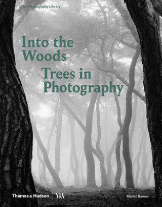 Book Into the Woods: Trees in Photography Martin Barnes