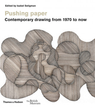 Kniha Pushing paper: Contemporary drawing from 1970 to now Isabel Seligman