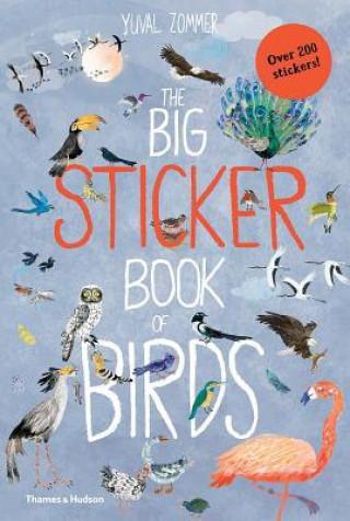 Книга Big Sticker Book of Birds Yuval Zommer