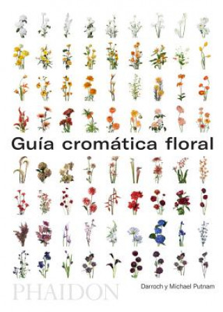 Kniha Guía de Flores Por Colores (Flower Colour Guide) (Spanish Edition) Darroch Putnam