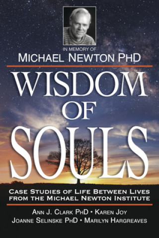 Kniha Wisdom of Souls The Newton Institute