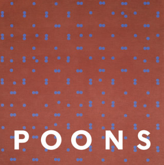 Book Larry Poons Karen Wilkin