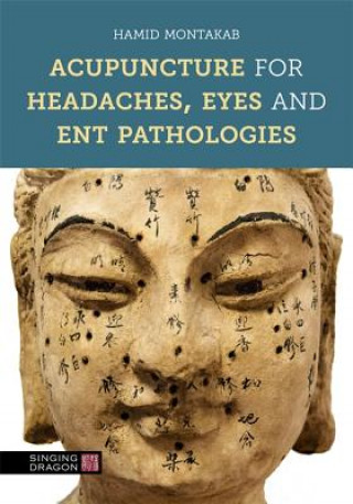 Könyv Acupuncture for Headaches, Eyes and ENT Pathologies Hamid Montakab