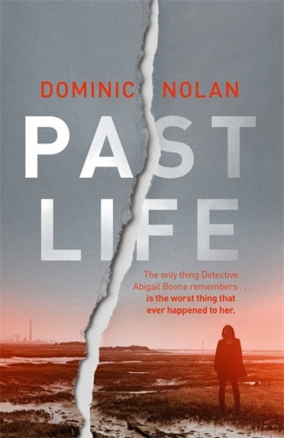 Könyv Past Life Dominic Nolan